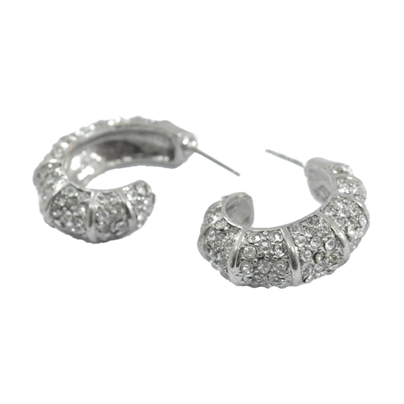 SILVER TONE CRYSTALS GROOVE EARRINGS - product image  