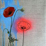 product images  of 