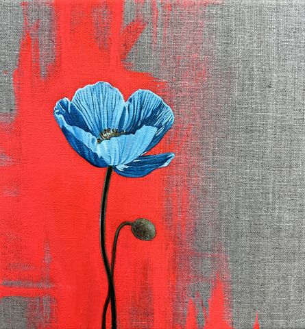 'Blue,Poppy',Flower, blue, Oil paint, colourful, vibrant, poppy