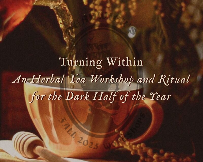 Turning Within: An Herbal Tea Workshop and Ritual for the Dark Half of the Year with Flora Deadwick - product image