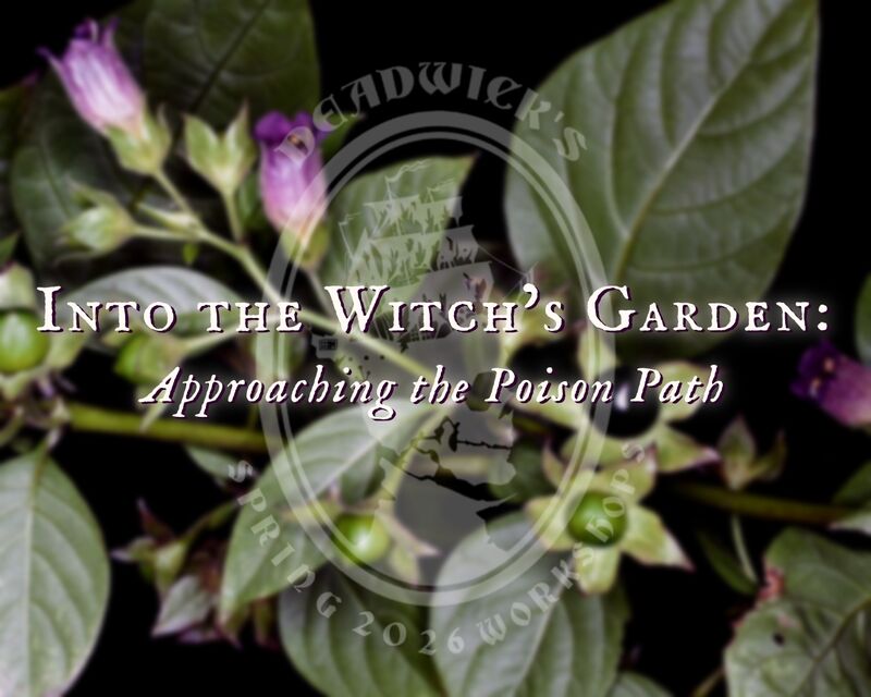 Into the Witch’s Garden: Approaching the Poison Path with Fern Deadwick - product images  of 