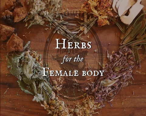 Herbs,for,the,Female,Body,with,Flora,Deadwick,flora, herbalist, herbs, female, class, workshop