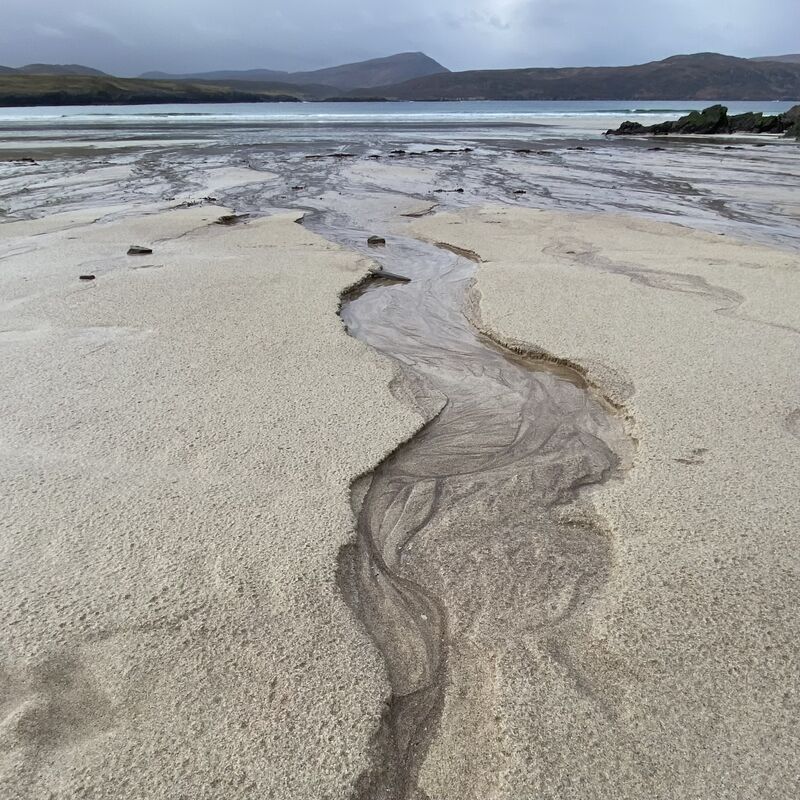 Sand Circle Peacock Pearl Bracelet - product images  of 