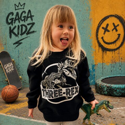 Three-Rex,Dino,Sweatshirt,three-rex, dinosaur t-rex, toddler sweater, birthday jumper, wild and three, 3, young & free, child, kids sweatshirt, kids sweater, crew neck sweater, third birthday top, 3rd birthday party outfit, crew neck, turning 3, aged 3, gift for 3 year old