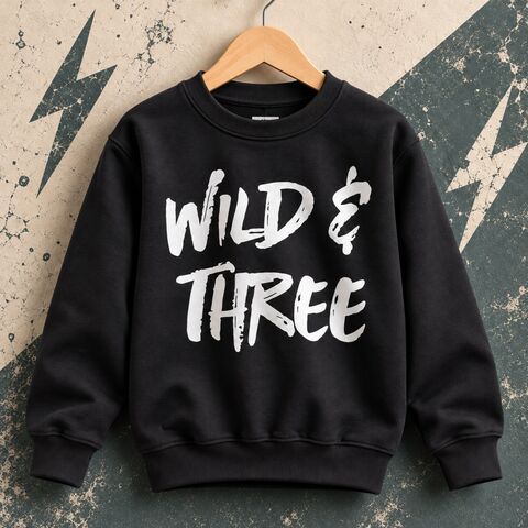 Wild,&,Three,Sweatshirt,toddler sweater, birthday jumper, wild and three, 3, young & free, child, kids sweatshirt, kids sweater, crew neck sweater, third birthday top, 3rd birthday party outfit, crew neck, turning 3, aged 3, gift for 3 year old