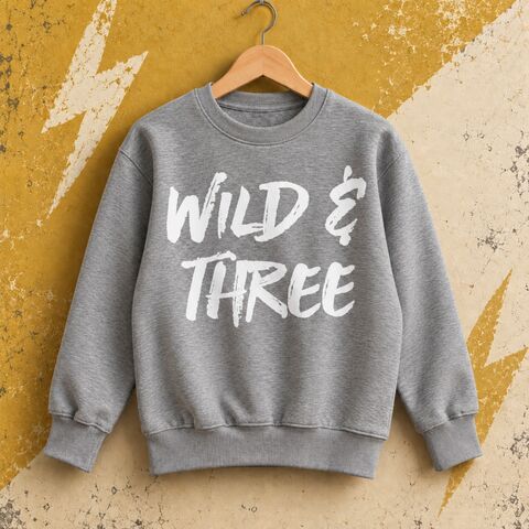 Wild,&,Three,Grey,Sweatshirt,alternative indie kid cool trendy hipster fashion, wild and three, grey marl, 3rd birthday gift, aged 3, turning three, third birthday party outfit, boy girl, child, sweater, pullover, jumper, toddler