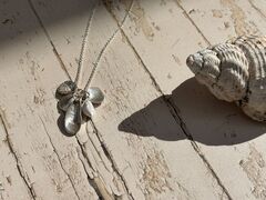 Product images  of 