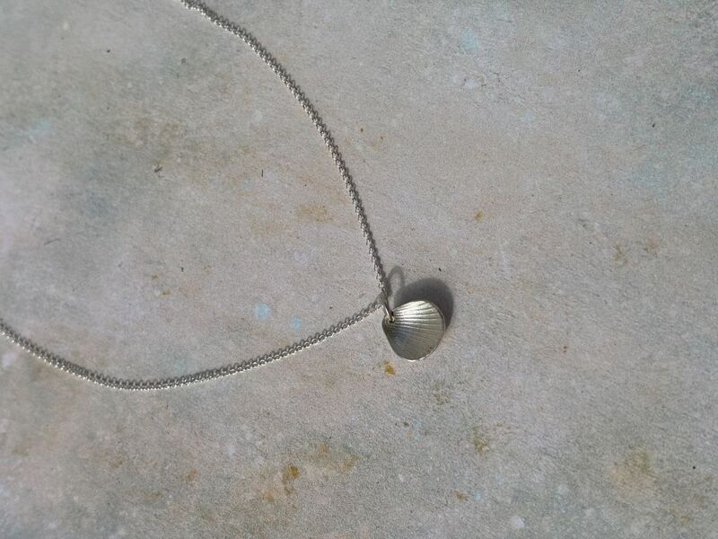 Shell collection necklace - product images  of 