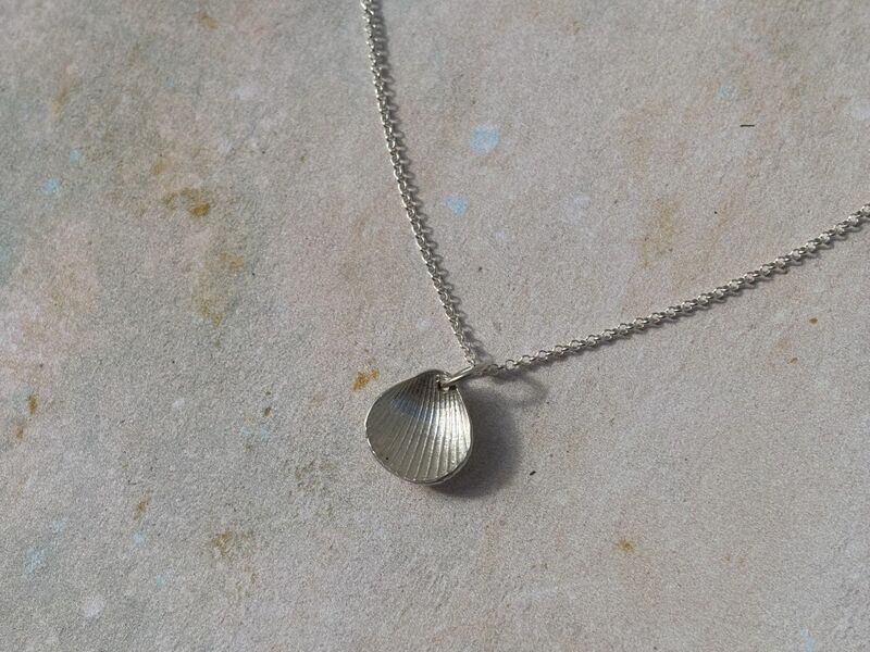 Shell collection necklace - product images  of 