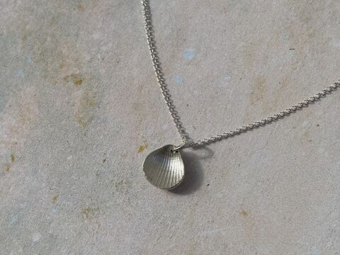 Shell,collection,necklace,silver jewellery, shell jewellery, necklace