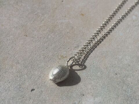 Cowrie,shell,necklace,shell necklace, silver shell necklace, cowrie shell necklace, cowrie shell charm, silver cowrie shell
