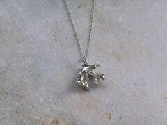 Product images  of 