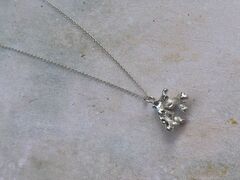 Product images  of 
