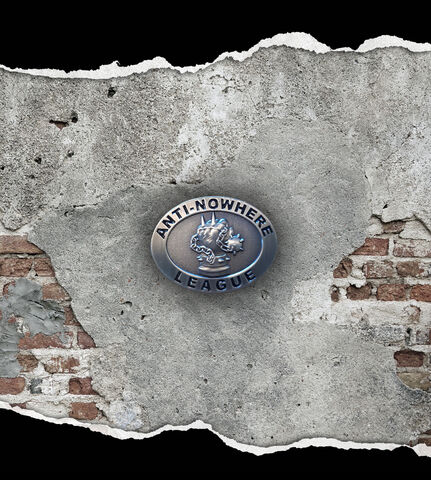 ANTI,NOWHERE,LEAGUE,METAL,PIN,BADGE,Anti Nowhere League metal pin badge