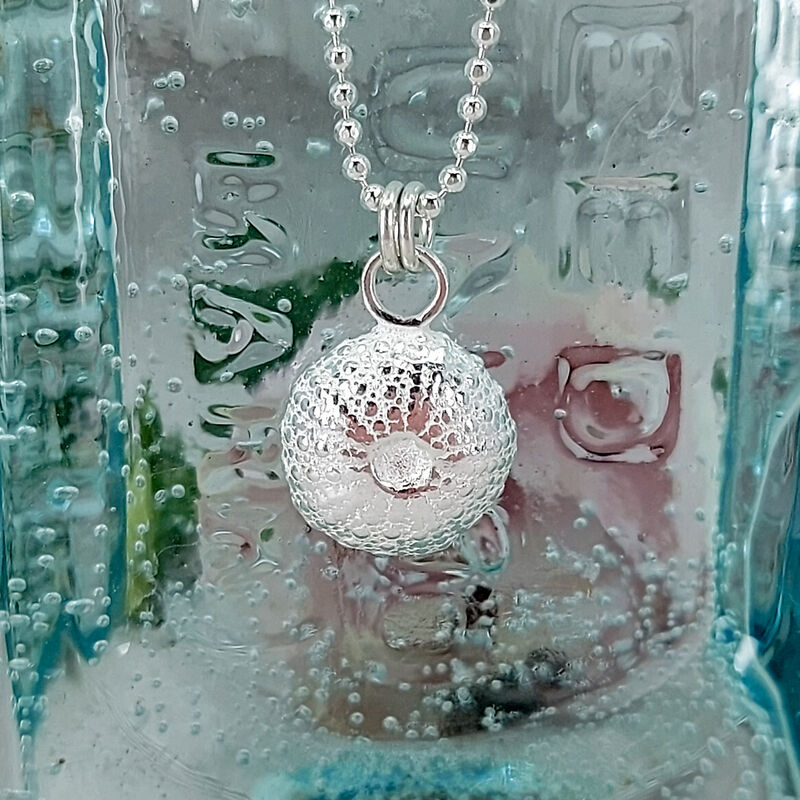  Sea Urchin - product images  of 