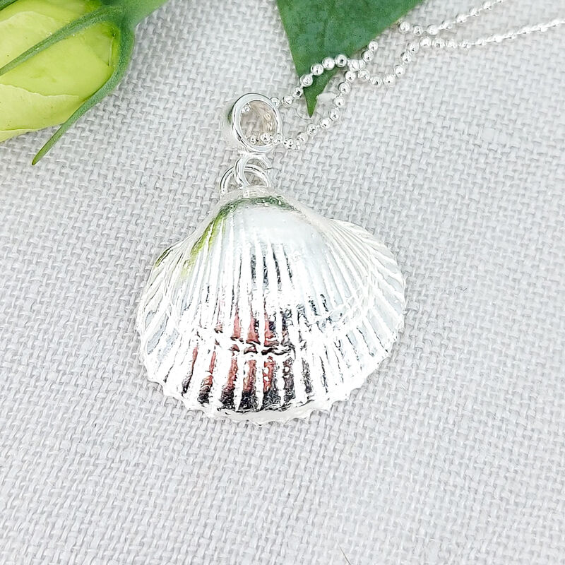 Cockle Shell - product images  of 