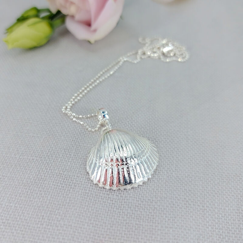 Cockle Shell - product images  of 