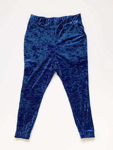 royal blue velvet pants