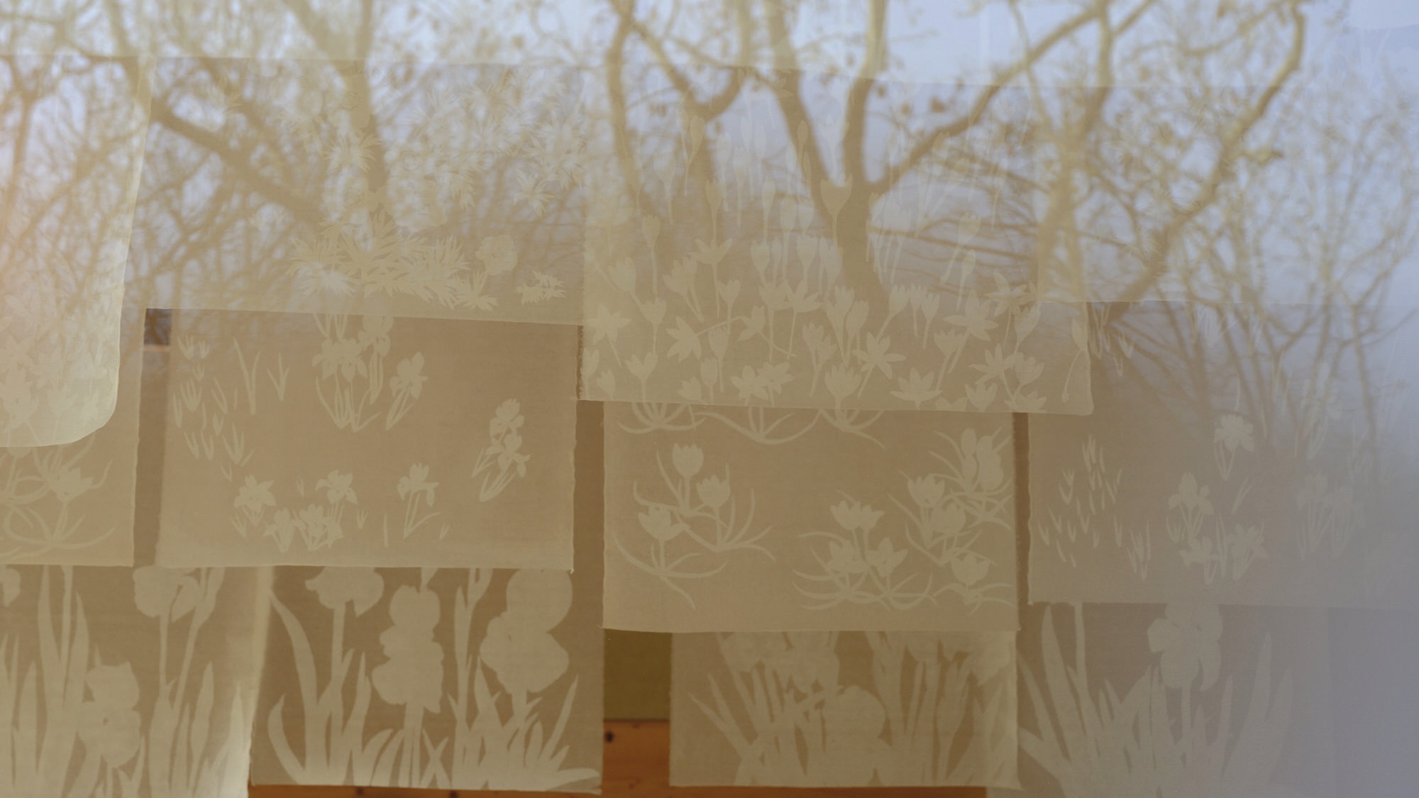 Photo by Yeshen Venema