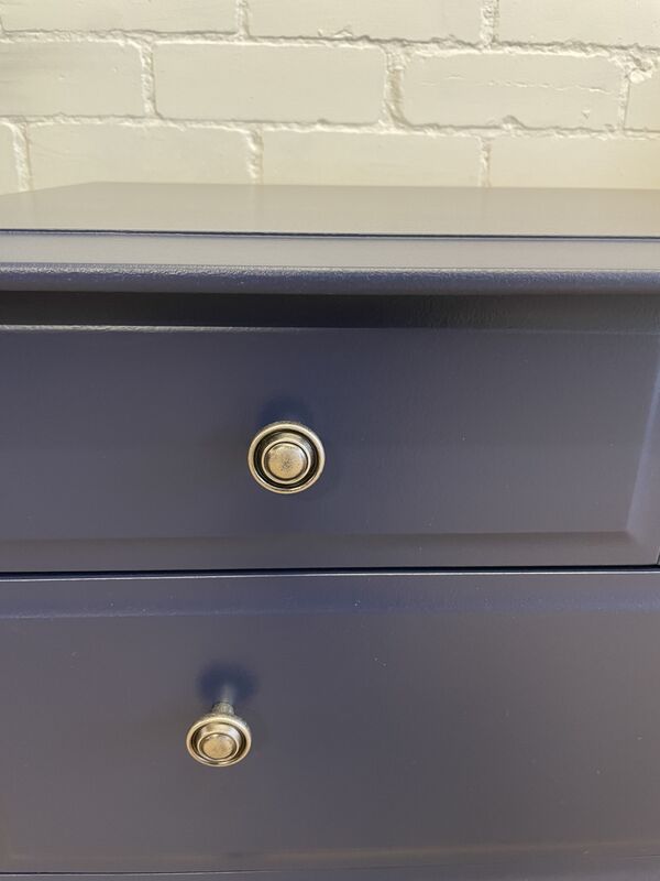 Stag Minstrel Captains Chest Painted Navy  - product images  of 