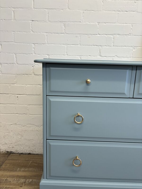 Stag Minstrel Captains Chest Painted Blue - product images  of 