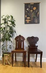 Pair,of,Antique,Mahogany,Hall,Chairs,–,Victorian,&,Edwardian,Carved,Seating,antique hall chairs 	•	Victorian hall chair 	•	Edwardian hall chair 	•	mahogany hall chairs 	•	antique mahogany chairs 	•	carved mahogany chair 	•	antique hallway chairs 	•	vintage mahogany chairs