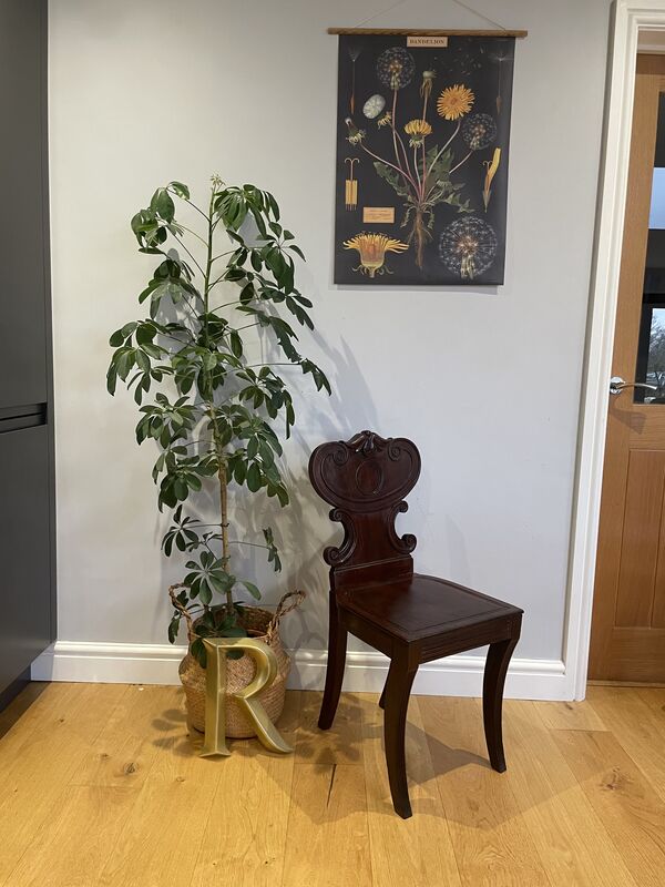 Pair of Antique Mahogany Hall Chairs – Victorian &amp; Edwardian Carved Seating - product images  of 
