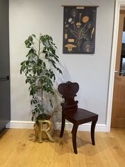 Product images  of 