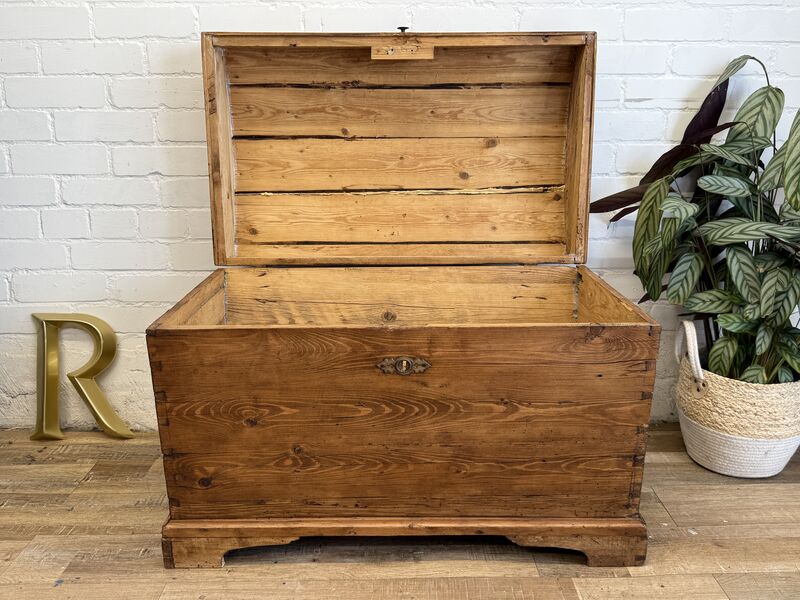 Antique Pine Domed Blanket Chest, 19th Century - product images  of 
