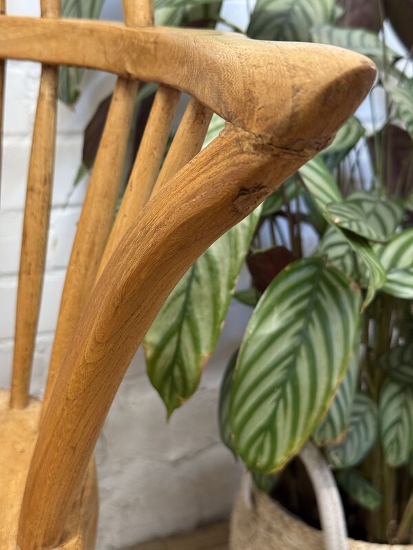 Antique English Windsor Armchair in Elm &amp; Ash - product images  of 