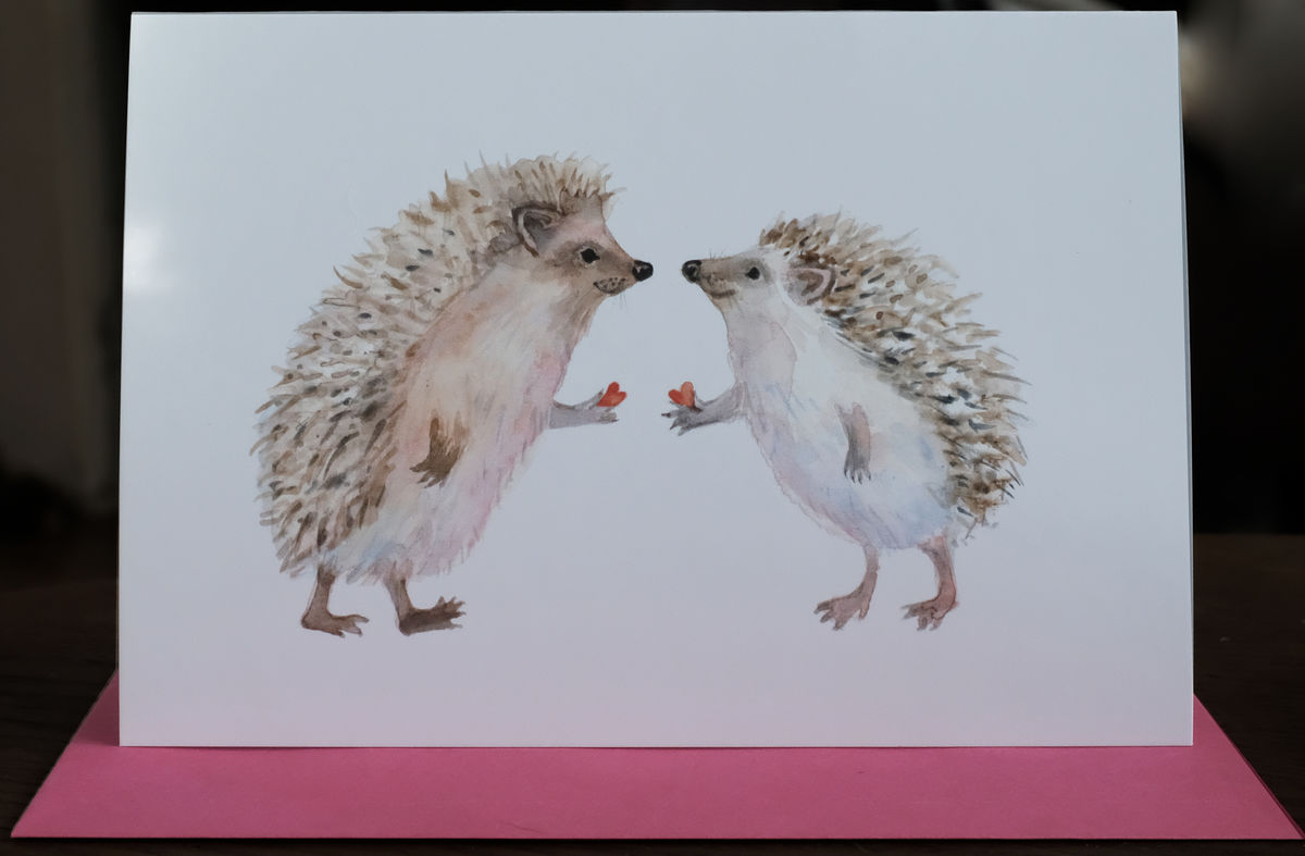 Hedgehog Love Card - Village bs8