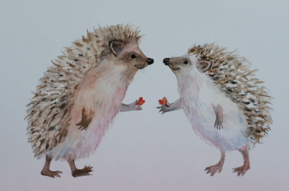 Hedgehog Love Card Village bs8