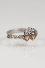 Product images  of 