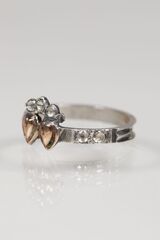 Product images  of 