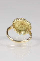 Product images  of 