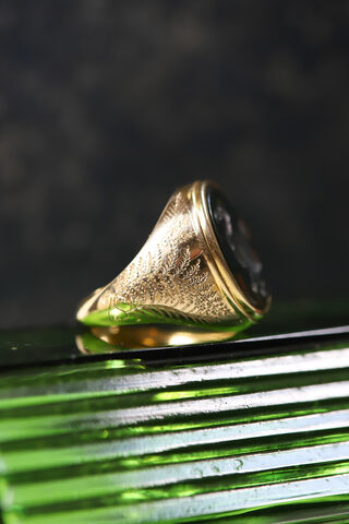 The Dodo Signet Ring  - product images  of 