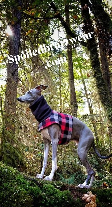Premium Soft Flannel Walking Vest-several options - product images  of 