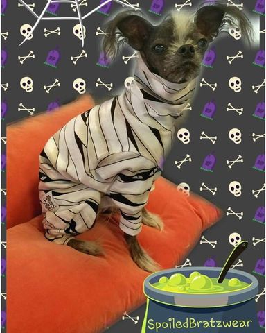 Glow,Mummy,Cotton,Knit,Romper,with,GLOWING,accents,italian greyhound halloween, dog halloween, dog costume, chinese crested, dachshund halloween