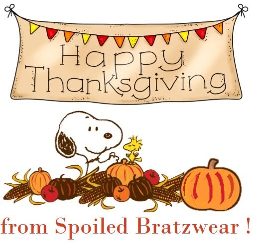 Nutty Thanksgiving Cotton Knit Dog Romper - product images  of 