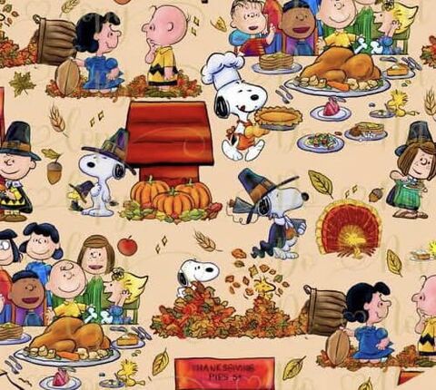 Nutty,Thanksgiving,Cotton,Knit,Dog,Romper