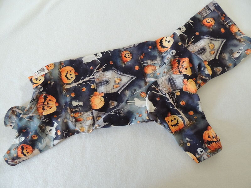 MEDIUM Organic Bamboo Jersey Halloween Town Romper - product images  of 