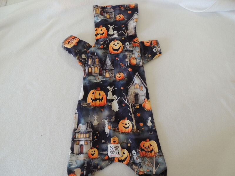 MEDIUM Organic Bamboo Jersey Halloween Town Romper - product images  of 