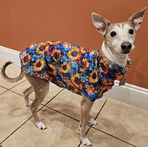 Sunflower,Ink,Bamboo,and,Organic,Cotton,French,Terry,Knit,Sleeveless,Shirt