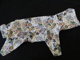 product images  of 