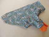 product images  of 
