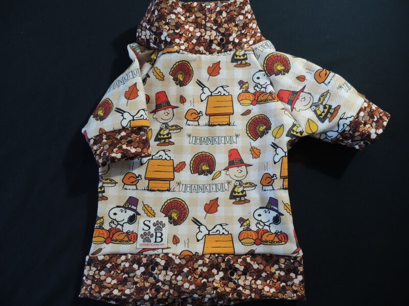 SMALL RTS Peanuts Thanksgiving Cotton Dog Shirt - product images  of 