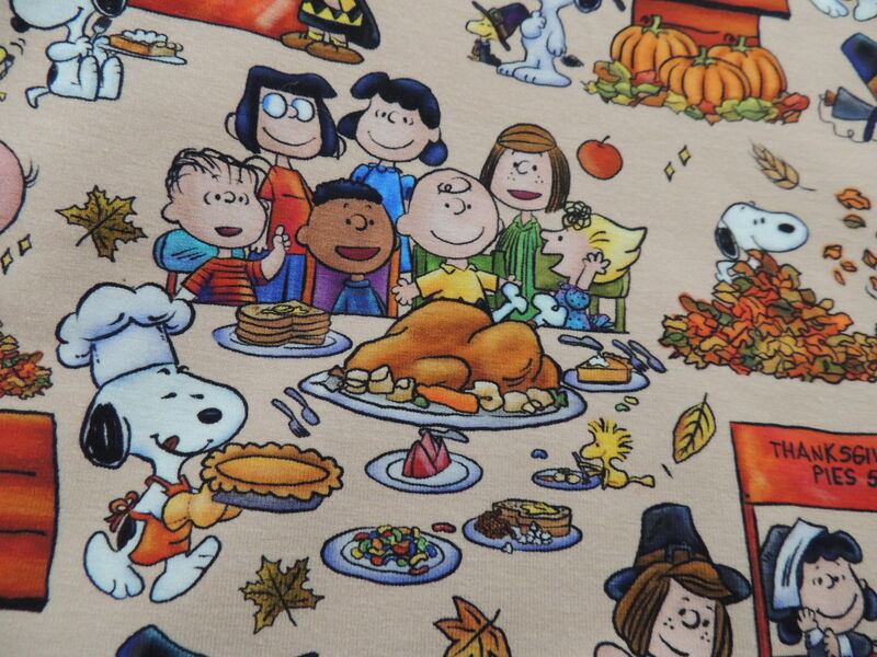 Nutty Thanksgiving Cotton Knit Dog Romper - product images  of 