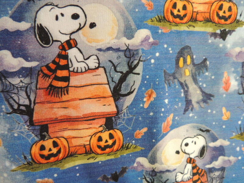 Haunted Dog House Snoopy French Terry Dog Romper - product images  of 