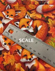 Product images  of 