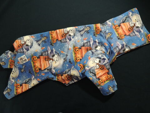 MEDIUM,Haunted,Dog,House,Cotton,French,Terry,Romper